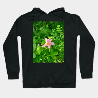 Wild Rose Hoodie